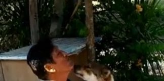 สุนัขหาย