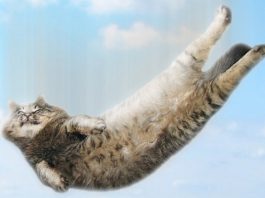 ความสูง