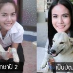 น้องหมาเหยนหลี