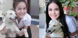 น้องหมาเหยนหลี