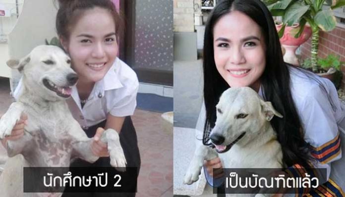 น้องหมาเหยนหลี