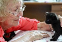 น้องเหมียวคลายเหงาผู้สูงวัย