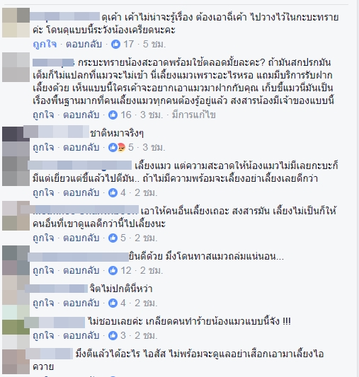 น้องแมว1