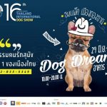 Dog Show