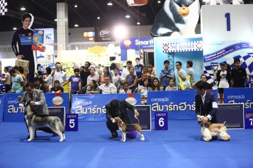 Thailand International Dog Show 