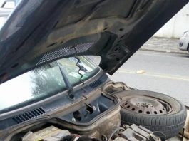 ถึงกับงง!! เมื่อสาวสตาร์ทรถยนต์ไม่ติด พอเช็คดูดีๆกลับเจอบางอย่างนอนอยู่ใสนกระโปรงรถซะงั้น สุนัขในรถยนต์