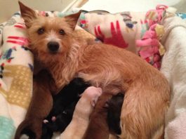 ชีวิตใหม่1