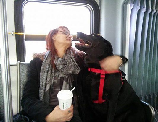 หมาติดเที่ยว