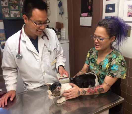 เหมียวร้องลั่นขอความช่วยเหลือ หลังถูกปล่อยทิ้งข้างถนนพร้อมของใช้ของมัน เหมียวร้องทุกข์