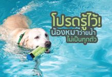 ว่ายน้ำ