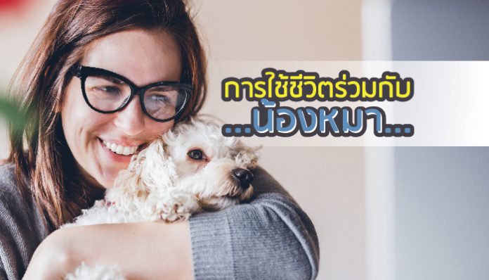 สุนัข