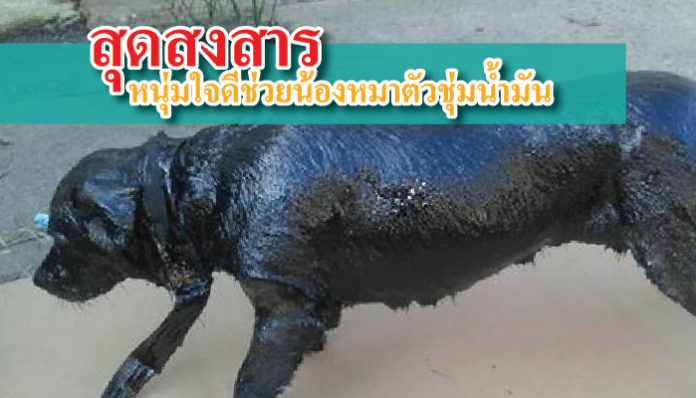 น้ำมัน เลอะตัว