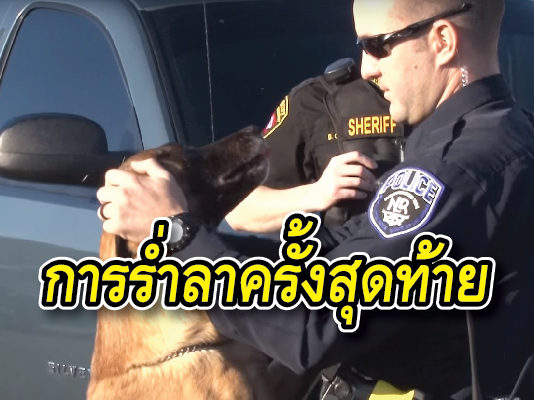 สุนัข พิธีอำลา