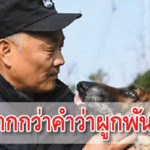 สุนัข ตำรวจ