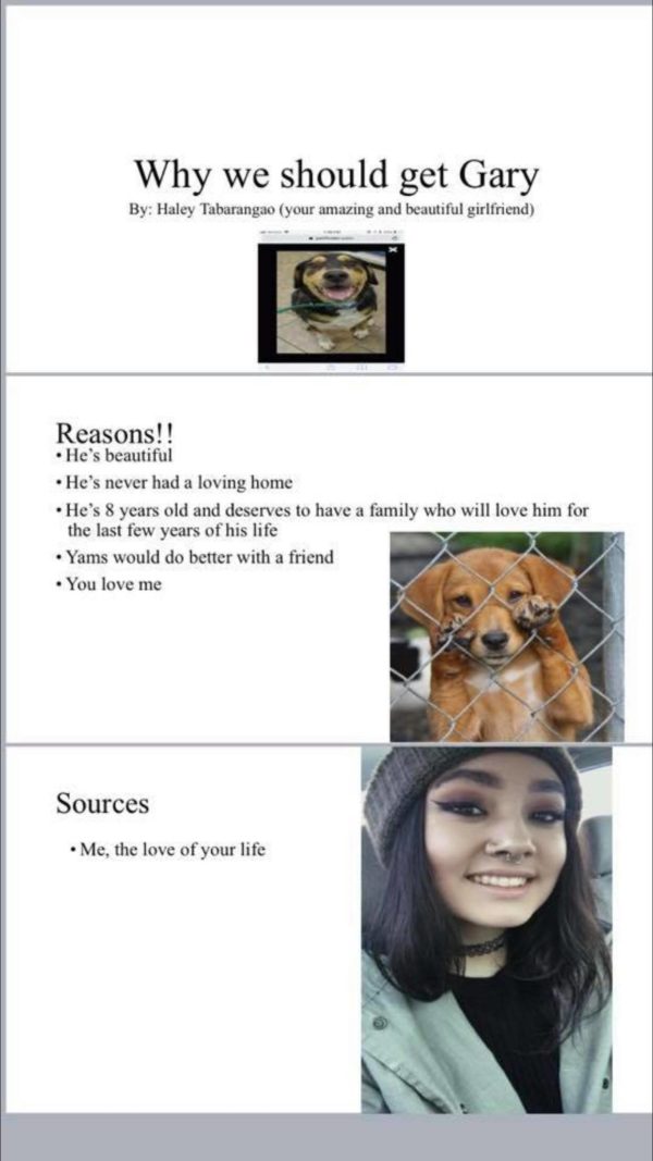 สุนัข