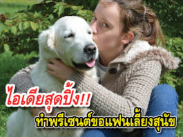 สุนัข