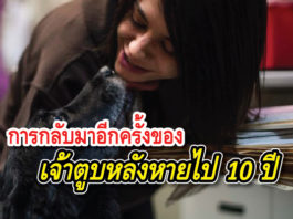 การกลับมาอย่างน่าประหลาดใจ หลังเจ้าของสุนัขออกตามหานานกว่า 10 ปี