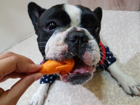 ขนมหมา PJ Snack Dog Shop