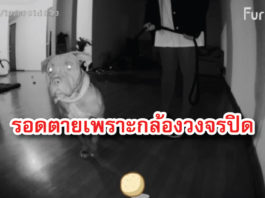 กล้องวงจรปิด