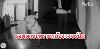 กล้องวงจรปิด