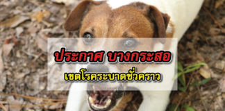 พิษสุนัขบ้า