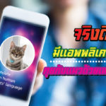 แอพพลิเคชั่น