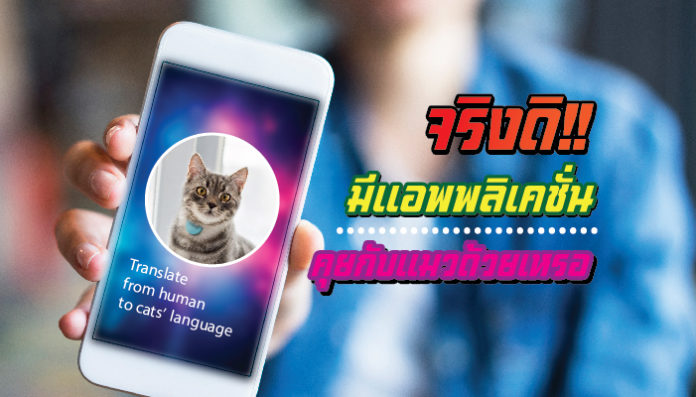 แอพพลิเคชั่น