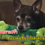ตุ๊กตา