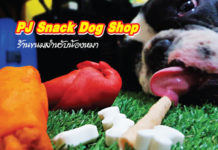 ขนมหมา PJ Snack Dog Shop