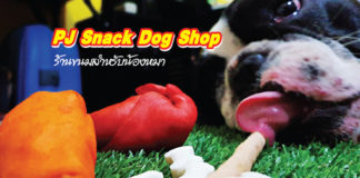 ขนมหมา PJ Snack Dog Shop